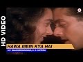 Hawa Mein Kya Hai (Jhankar Beats) - Jaagruti | S.P Balasubramaniam, K. S. Chithra | Salman Khan
