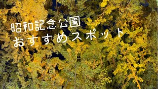 昭和記念公園おすすめスポット