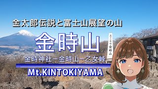 【登山】金時山　富士山の大展望