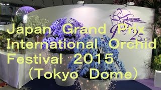 Japan Grand Prix  International Orchid Festival 2015 (世界らん展日本大賞2015)