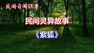 《紫狐》   |睡前民间恐怖故事|中国奇闻轶事|睡前鬼故事|睡前恐怖故事