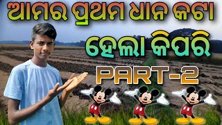 ଆମର ପ୍ରଥମ ଧାନ କଟା ହେଲା କିପରି PART-2 like and subscribe and Full video watch now ❤️🙏❤️🙏