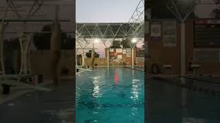 201a, back dive straight - 1 meter