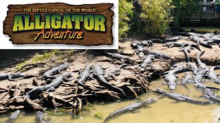 ALLIGATOR Adventure 🐊 🐊 🐊 🐊 🐊  in Myrtle Beach, SC | 230+ Species