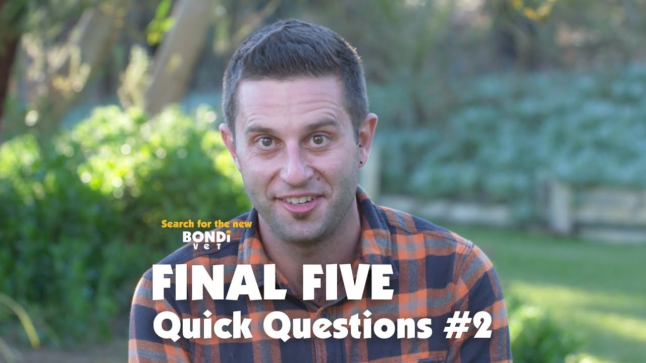 Final Five Quick Questions 2 Youtube