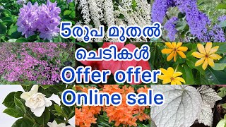 7025513603 5രൂപ മുതൽ ചെടികൾ /onlinesale #dreamgarden #plantsale