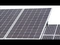 first nation launches manitoba’s biggest solar farm aptn news