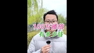 一条100万播放量的视频能有多少收益？结果可能会出乎你的意料#创作者伙伴计划 #自媒体 #短视频创业