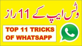 Top 11 new Tips and Tricks of WhatsApp