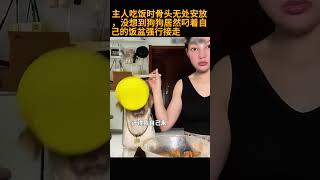 主人吃饭时骨头无处安放，没想到狗狗居然叼着自己的饭盆强行接走