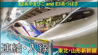 【東北・山形新幹線】E2系やまびこ（1000番台）・E3系つばさ（2000番台）連結車両入線！Shinkansen＠東京駅.japan.2020