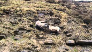 Edale Grindsbrook Clough 21 Apr 09 Maps + Pics