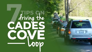 Cades Cove Loop: 7 tips including how long it takes