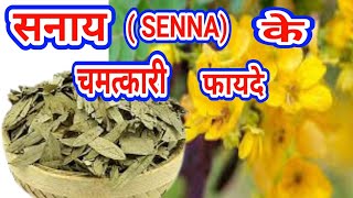 Senna (सनाय) ke fayde in hindi |  Benefits of Senna Leaves , दुनिया की सबसे अचूक औषधि