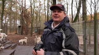 Marc uit Heeze leeft samen met roedel van 34 husky’s