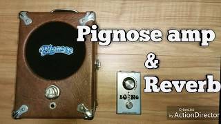 Pignose amp demo (with ES-335 )