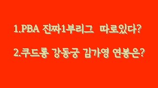 PBA 1부투어는 1부가 아니다 진짜가 따로있다/쿠드롱 강동궁 김가영선수 수입은 얼마나 될까?/  PBA 1부 투어의 어두운 그늘