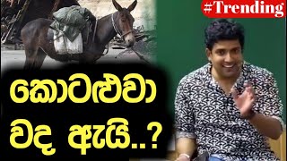 කොටළුවා වද ඇයි..? | Dinesh Muthugala | Episode 126