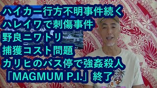 ハワイニュース　05/13/2022：ハイカー行方不明事件続く、ハレイワで刺傷事件、野良ニワトリ捕獲コスト問題、カリヒのバス停で強姦殺人、「MAGMUM P.I.」終了など