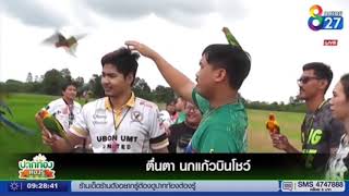 พิจิตร-ชมรมนกบินอิสระพิจิตร โชว์ความสวยงามและความเชื่องนกแก้ว