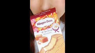 [Japanese Ice Cream]Haagen-Dazs Strawberry Cheesecake　#Shorts