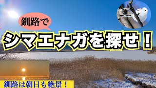 【釧路絶景朝日と冬の春採湖散策】気温マイナス15℃の釧路で『シマエナガ』を探せ！　釧路は夕日だけじゃない絶景朝日に感動！