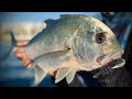 Around the River | Fishing the Noosa River