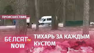 Повышенные меры безопасности к приезду нелигитимного