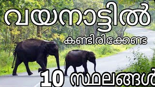 വയനാട്ടിൽ കണ്ടിരിക്കേണ്ട 10 സ്ഥലങ്ങൾ #wayanad tourism