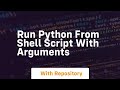run python from shell script with arguments