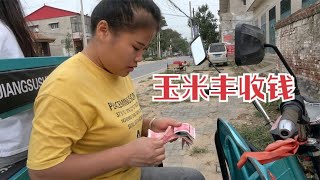 小爽家玉米大丰收，一亩卖了1000元，数钱藏不住丰收的喜悦