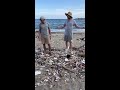 we cleaned the beach shorts unfckitchallenge teamseas