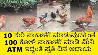 ಕೋಳಿ ಸಾಕಾಣಿಕೆ ಮಿನಿ ATM ಇದ್ದಂತೆ ಪ್ರತಿ ದಿನ ಆದಾಯ #kolisakanike #poultryfarmingkannada