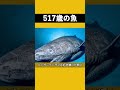 世界で最も長寿な脊椎動物、それは死神に忘れられてしまった