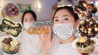 [Cafe Vlog]신메뉴 가득 품고 3주만에 나타난 카페브이로그..🤣ㅣ비건디저트카페ㅣ자매카페브이로그