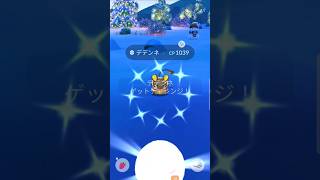 コスデデンネレイド一戦目で奇跡の色違いゲット!!個体値どうだ⁉#ポケモンgo #ポケモン #コスチューム色違いデデンネ#色違いデデンネ#色違い