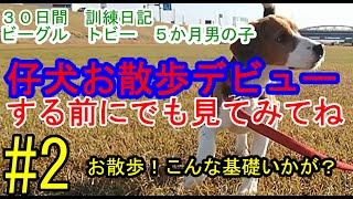 仔犬ならなおさら！！お散歩デビューする前の知識として知っといて損はない！・・ハズ