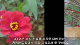 원불교 정전(正典) 양산 김중묵 종사님 봉독(음성)_제2 교의편(敎義編) 제2장 사은(四恩) 제3절 동포은(同胞恩)