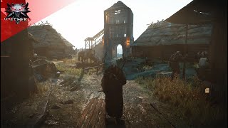 The Witcher 3 - Music & Ambience - Taking a relaxing walk To Oxenfurt