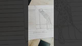 tiger ki 3D drawing easy #good  drawing