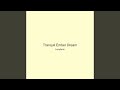 Tranquil Ember Dream