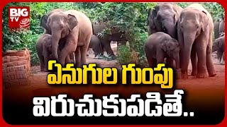 Elephants Hulchul In Parvathipuram | పార్వతీపురం మన్యం జిల్లాలో ఏనుగుల హల్ చల్ | BIG TV Telugu