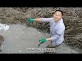 we caught fish in the puddle under the 30 meter high cliff. we harvested a huge fish.