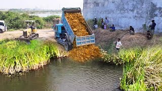 Interesting projects underway, pouring soil into pond, Komatsu D31A bulldozer, earthmoving truck