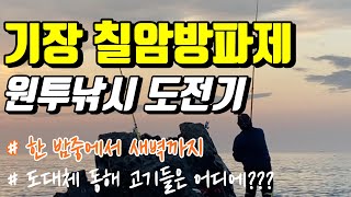 기장 칠암방파제 원투낚시 도전하고 왔습니다  ※생활낚시※원투낚시포인트※