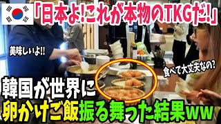 【海外の反応】「日本よ、これが本物のTKGだ!」日本の卵かけご飯のマネをしてパーティーで振舞ったK国版TKGに世界が大爆笑w【アメージングJAPAN】