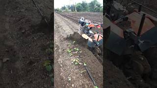 Shrachi 8d6 power weeder|shrachi rotaveter|shrachi power tiller|shrachi back rotary power weeder