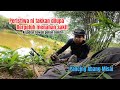 Mancing dan menajur di ceruk hutan Jelebu Negeri Sembilan