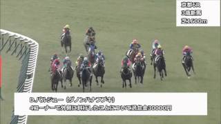 2016年2月7日京都競馬制裁事象