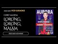 Gerry Mahesa - Lorong Lorong Malam (Video & Audio versi VCD Karaoke)